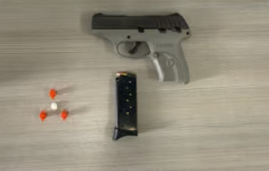 Springfield Man Charged with Murder After Fatal Stabbing and Additional Drug and Firearm Offenses