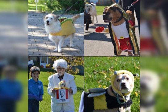 St. Louis Park Welcomes Back Howl-O-Ween Canine Celebration at Wolfe Park with Pawsome Costume Contest