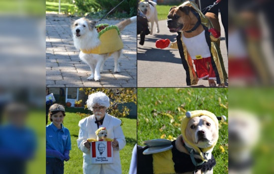 St. Louis Park Welcomes Back Howl-O-Ween Canine Celebration at Wolfe Park with Pawsome Costume Contest