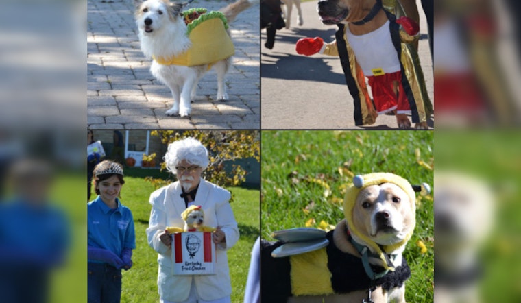 St. Louis Park Welcomes Back Howl-O-Ween Canine Celebration at Wolfe Park with Pawsome Costume Contest