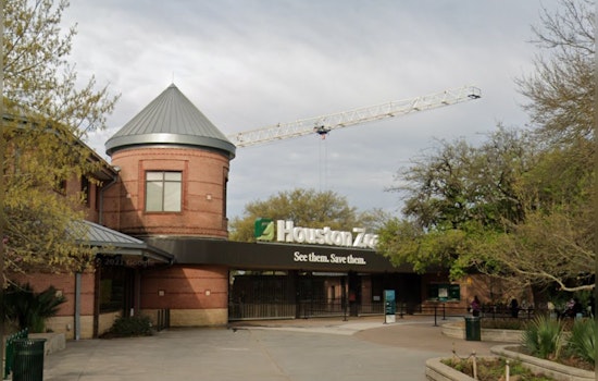 Stolen Belongings Valued at $15K Magically Returned After Houston Zoo Theft, Family Relieved