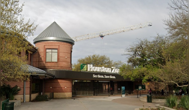 Stolen Belongings Valued at $15K Magically Returned After Houston Zoo Theft, Family Relieved