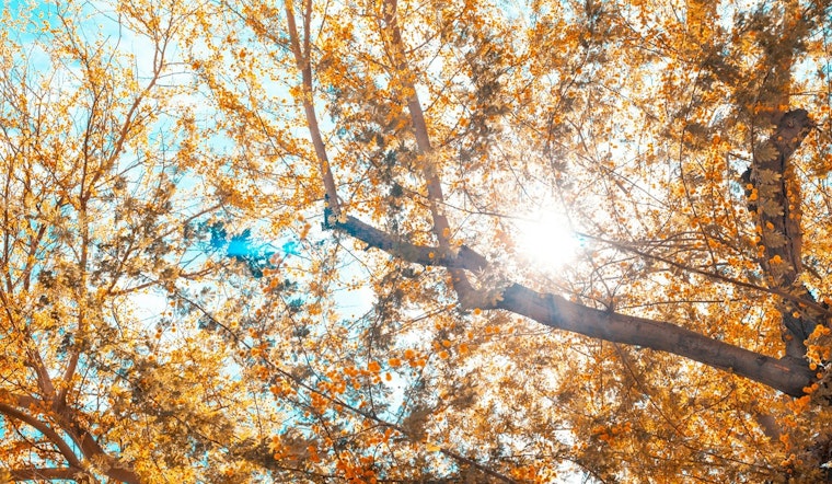 Sunny Skies and Sizzling Temperatures Preside Over Phoenix Forecast