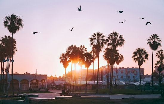 Sunny Skies and Warmth Set the Stage for Los Angeles' Summer Weather Pattern
