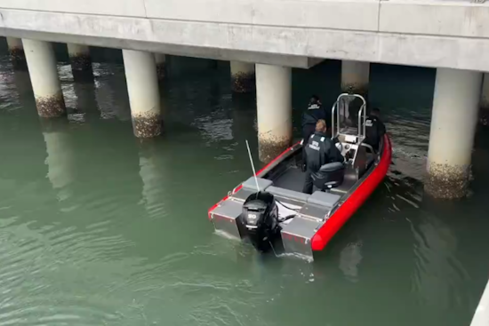 VIDEO: Swift Bay Rescue by San Francisco Fire Department Crew Averts Potential Tragedy at Embarcadero