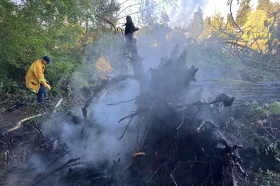 Swift Response by South County Fire Douses Brush Fire on Lake Ballinger's Edmount Island