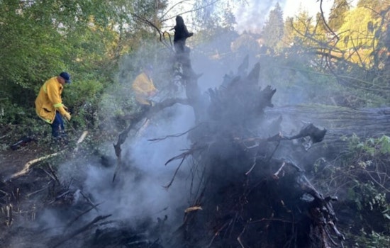 Swift Response by South County Fire Douses Brush Fire on Lake Ballinger's Edmount Island