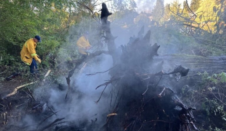 Swift Response by South County Fire Douses Brush Fire on Lake Ballinger's Edmount Island