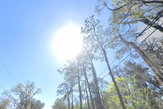 Tampa Grapples with High Humidity and Heat Index as Temperatures Soar