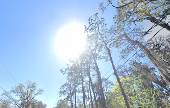 Tampa Grapples with High Humidity and Heat Index as Temperatures Soar