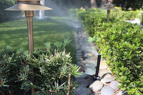 Tampa Implements Once-a-Week Watering Restrictions to Combat Drought Conditions