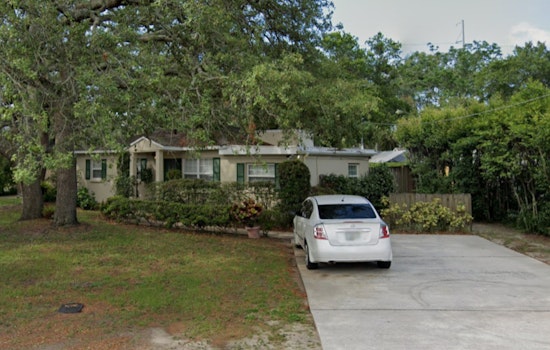 Tampa Police Investigate Aggravated Assault During Attempted Dog Adoption on Meadowbrook Ave