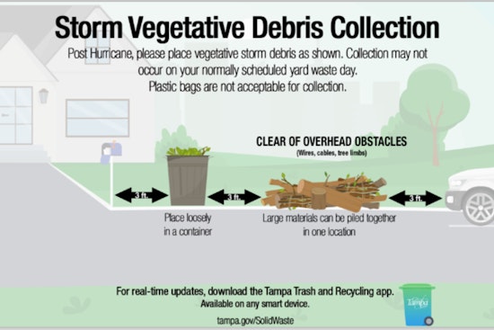Tampa Sets August 23 Deadline for Residents to Place Hurricane Debby Vegetative Debris Curbside