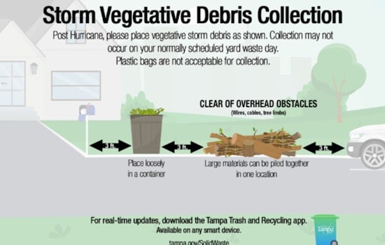 Tampa Sets August 23 Deadline for Residents to Place Hurricane Debby Vegetative Debris Curbside