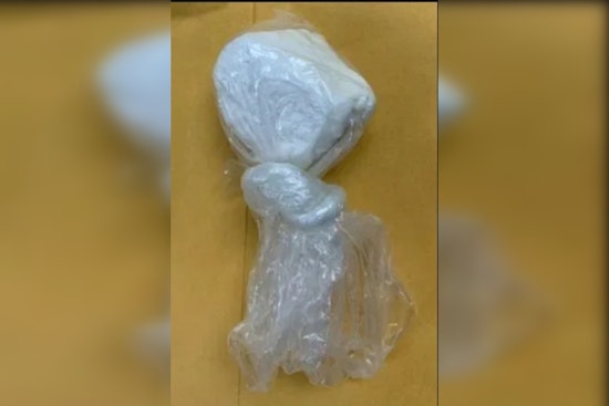 Taylor Man Faces Drug and Weapon Charges after Williamson County Sheriff's Office Raid