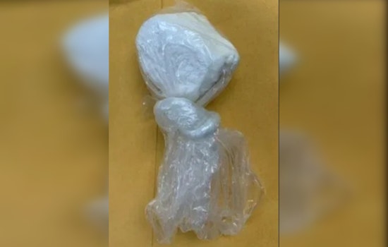 Taylor Man Faces Drug and Weapon Charges after Williamson County Sheriff's Office Raid