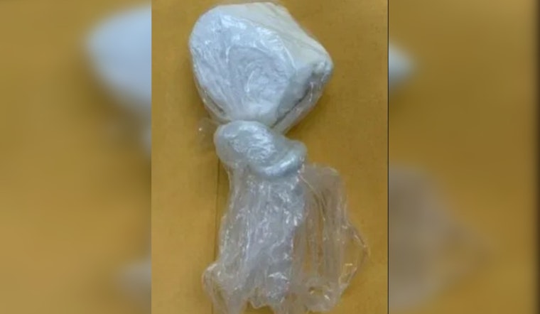 Taylor Man Faces Drug and Weapon Charges after Williamson County Sheriff's Office Raid