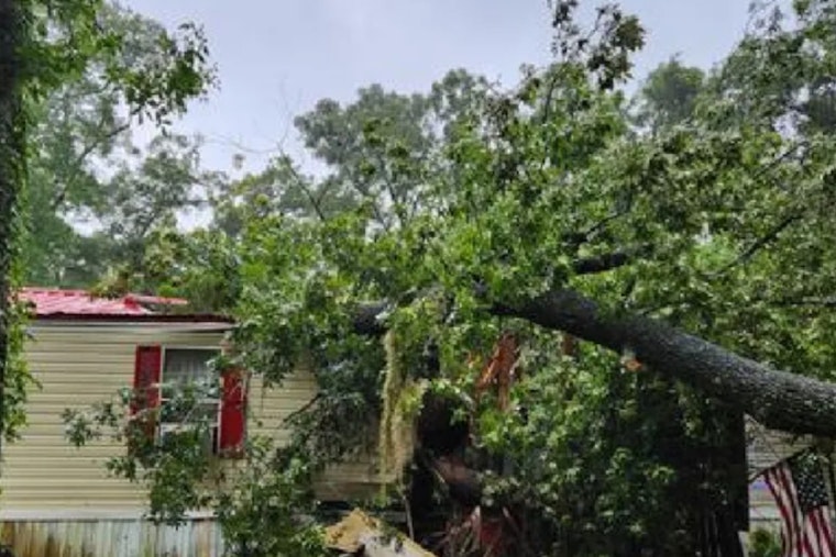 Teenager Dies in Fanning Springs After Tree Felled by Hurricane Debby Crushes Mobile Home