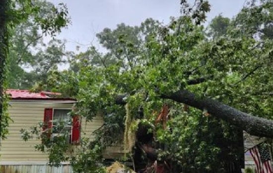 Teenager Dies in Fanning Springs After Tree Felled by Hurricane Debby Crushes Mobile Home