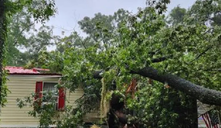 Teenager Dies in Fanning Springs After Tree Felled by Hurricane Debby Crushes Mobile Home