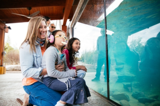 Tennessee Pioneers Inclusive Tourism with Colorblind Viewfinders and All-Terrain Wheelchairs for Enhanced Accessibility