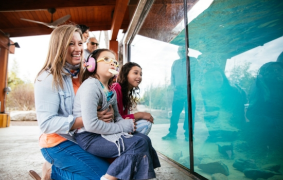 Tennessee Pioneers Inclusive Tourism with Colorblind Viewfinders and All-Terrain Wheelchairs for Enhanced Accessibility
