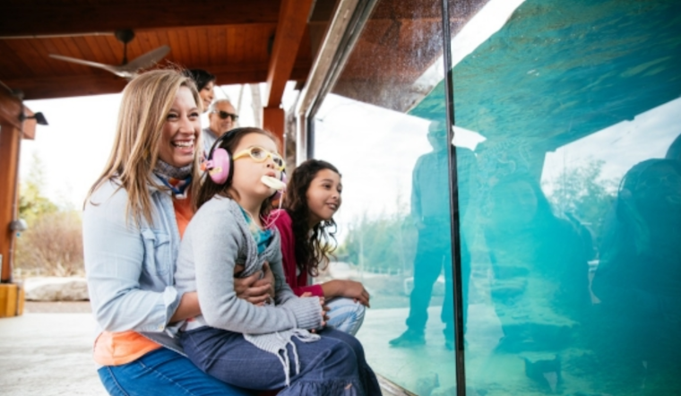 Tennessee Pioneers Inclusive Tourism with Colorblind Viewfinders and All-Terrain Wheelchairs for Enhanced Accessibility