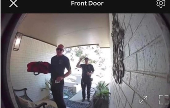 Texas Emergency Services Complete Pizza Delivery for Jarrell Resident After Original Driver's Traffic Accident