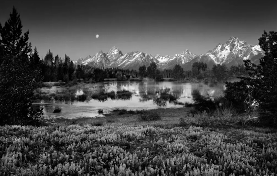 "The Splendor of Solitude: Clyde Butcher's Photography Legacy" Exhibit to Open in Las Cruces Museum of Art