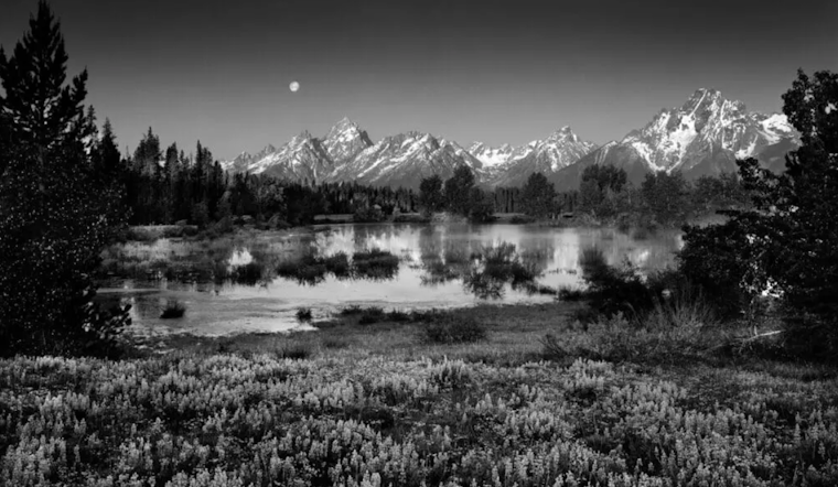 "The Splendor of Solitude: Clyde Butcher's Photography Legacy" Exhibit to Open in Las Cruces Museum of Art