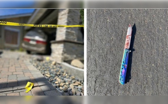 Tragic Stabbing and Police-Involved Shooting Shatter Peace in Irvine's Woodbridge Community