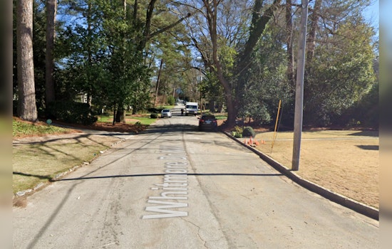 Tree Removal Causes Full Road Closure in Atlanta's Buckhead Neighborhood