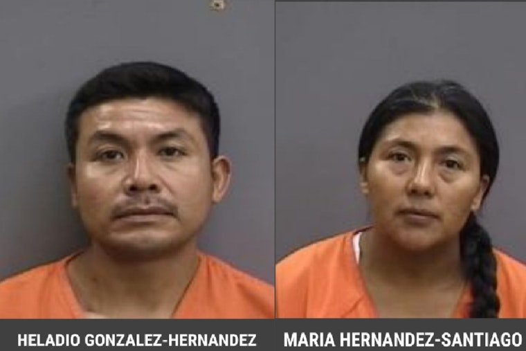 Two Suspects Charged in Illegal Harvest of Saw Palmetto Berries in Plant City
