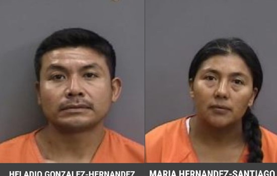 Two Suspects Charged in Illegal Harvest of Saw Palmetto Berries in Plant City