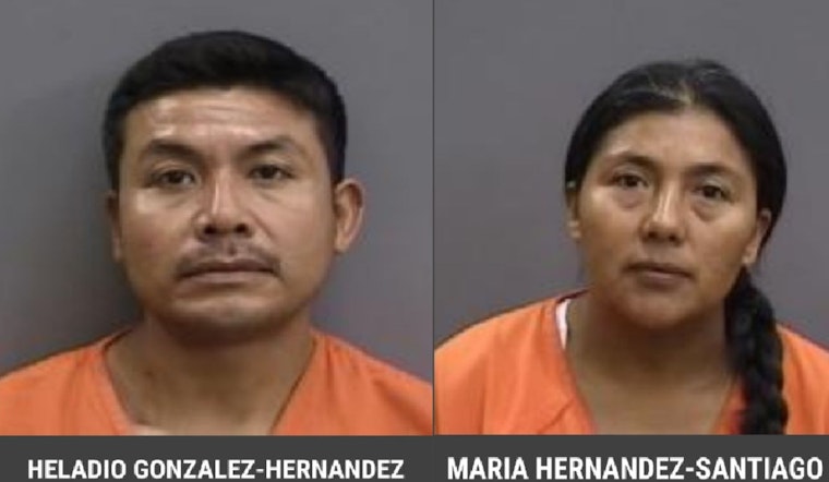 Two Suspects Charged in Illegal Harvest of Saw Palmetto Berries in Plant City