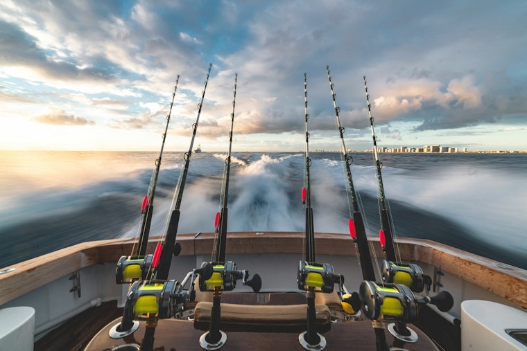 TWRA Seeks Public Input on Potential Fishing Regulation Changes for 2025-26 Season in Tennessee