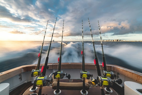TWRA Seeks Public Input on Potential Fishing Regulation Changes for 2025-26 Season in Tennessee