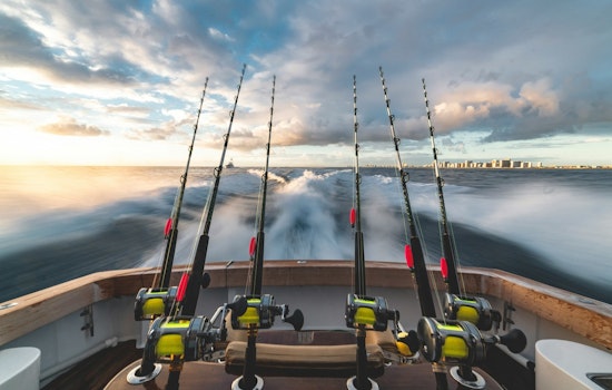 TWRA Seeks Public Input on Potential Fishing Regulation Changes for 2025-26 Season in Tennessee