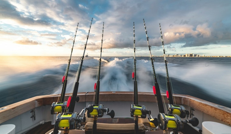 TWRA Seeks Public Input on Potential Fishing Regulation Changes for 2025-26 Season in Tennessee