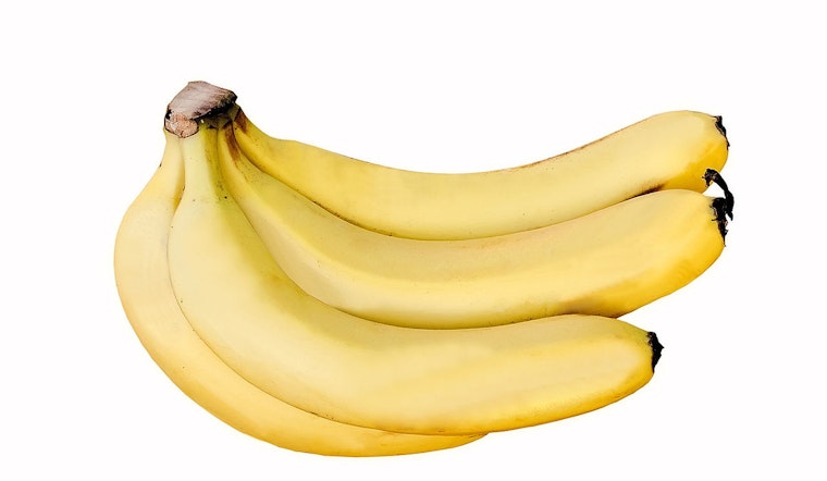 UMass Amherst Scientists Discover Key Genes in Fight Against Deadly Banana Disease