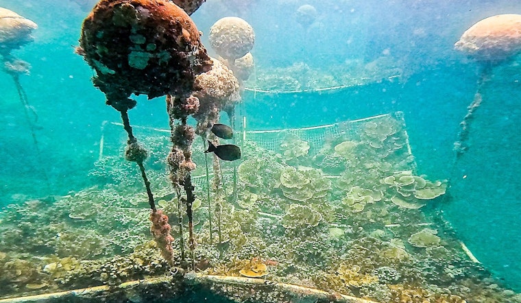 University of Hawaiʻi Hits a New Record with $615.7M in Extramural Funding for 2024