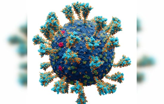 University of Minnesota Study Reveals COVID-19's Impact on Brain Health, Links Virus to Cognitive Issues
