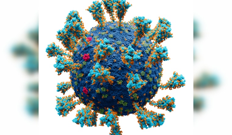 University of Minnesota Study Reveals COVID-19's Impact on Brain Health, Links Virus to Cognitive Issues