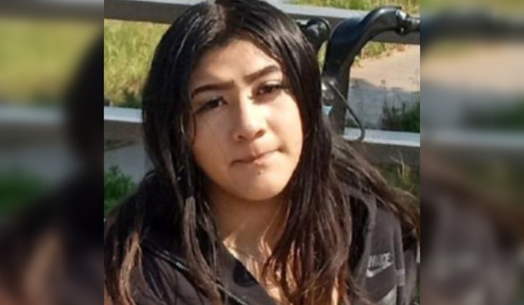 Urgent Search Continues for Missing 13-Year-Old Marrayalean Salgado in Chicago