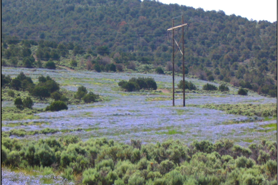 Utah's Legal Showdown: State Sues to Wrest Land Control from Federal Government's Grip