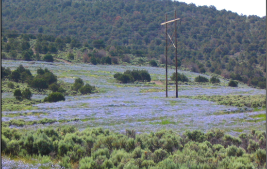 Utah's Legal Showdown: State Sues to Wrest Land Control from Federal Government's Grip
