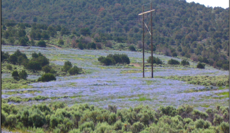 Utah's Legal Showdown: State Sues to Wrest Land Control from Federal Government's Grip