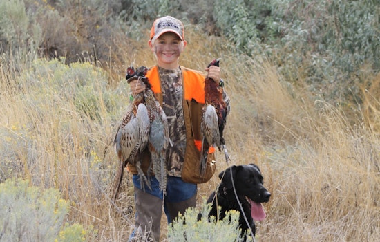 Vancouver Wildlife League and WDFW Team Up for Youth Pheasant Hunt in Clark County