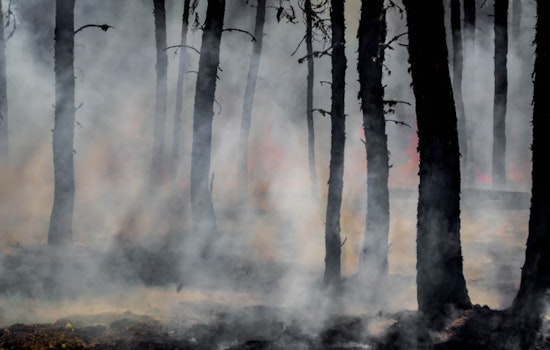 Vegas Residents Rally to Aid Lahaina Wildfire Recovery, Embodying Spirit of Aloha