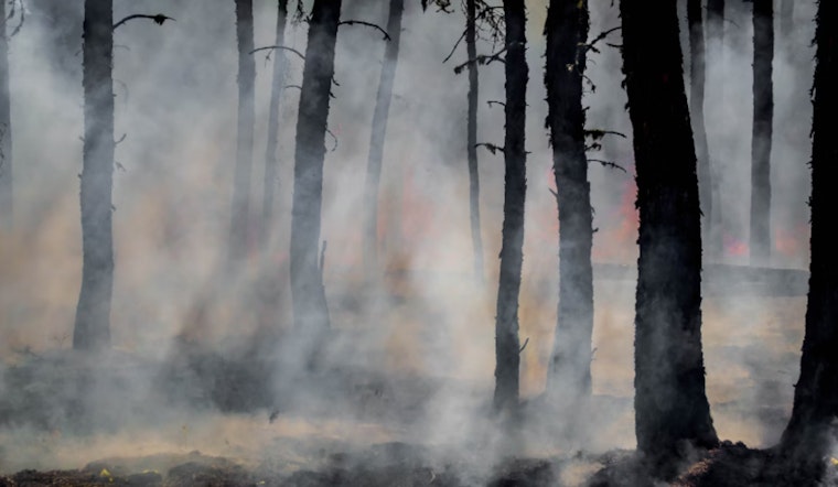 Vegas Residents Rally to Aid Lahaina Wildfire Recovery, Embodying Spirit of Aloha
